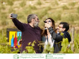 Festival Mar de Tethys 2026 - Bodega Vetas
